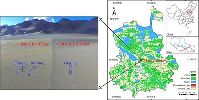 Rhizosphere soil microbial community and its response to different utilization patterns in the semi-arid alpine grassland of northern Tibet